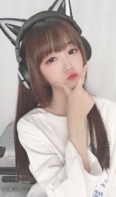 与君歌